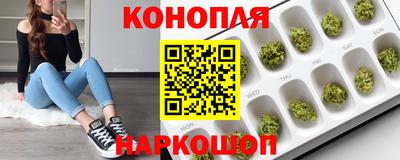 Альфа ПВП Владикавказ