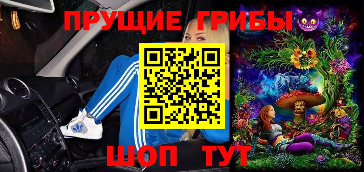 Псилоцибиновые грибы мицелий  наркошоп  Волгодонск  Вход с VPN 