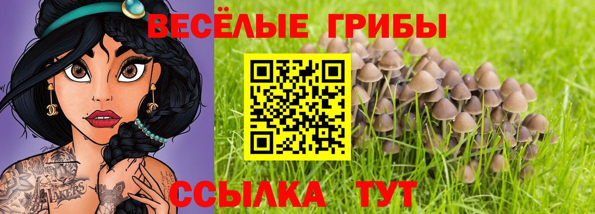 Псилоцибиновые грибы Psilocybine cubensis Волгодонск